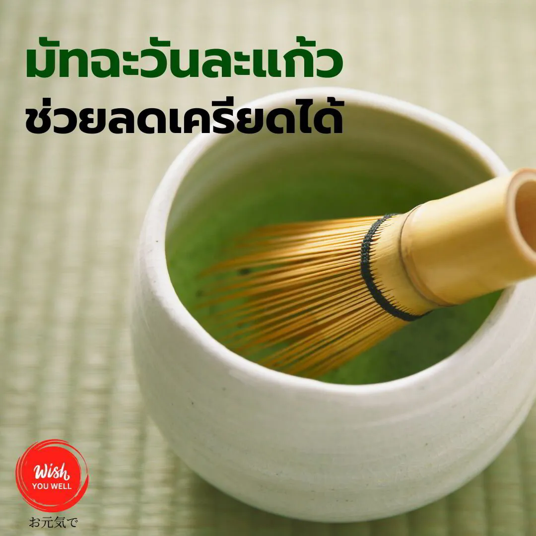 มัทฉะ แก้วเดียวช่วยลดฮอร์โมนความเครียด 🍵