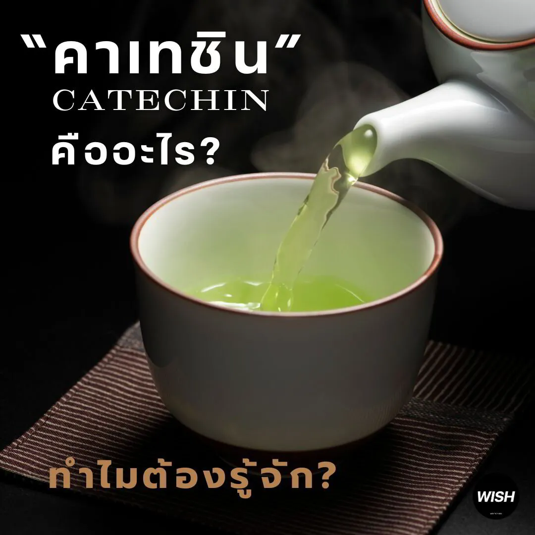 คาเทชิน (Catechin)