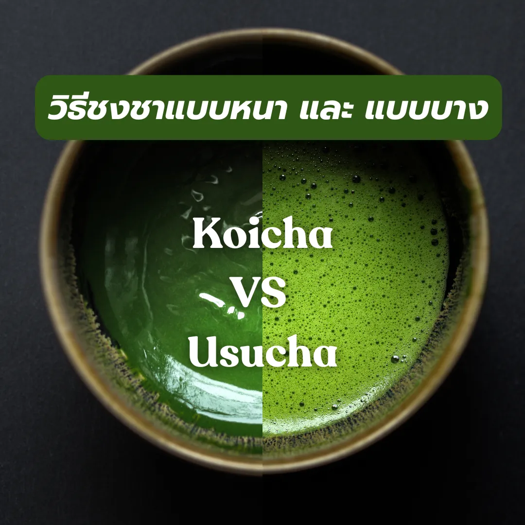 วิธีชงชา Koicha vs Usucha