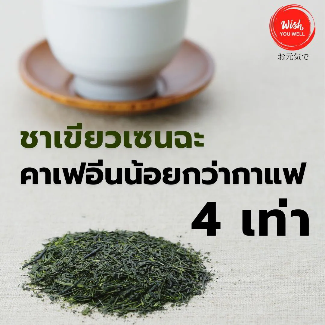 ทำไมเซนฉะถึงเหมาะกับคนอยากลดคาเฟอีน?